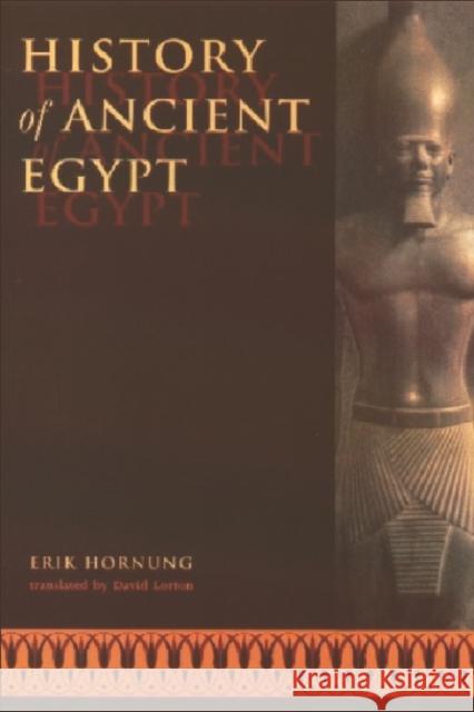 History of Ancient Egypt: Translated by David Lorton