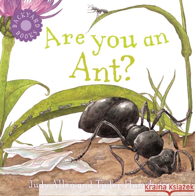 Are You an Ant?