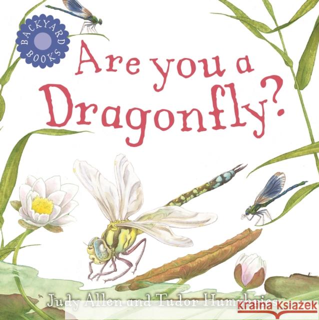 Are You a Dragonfly?