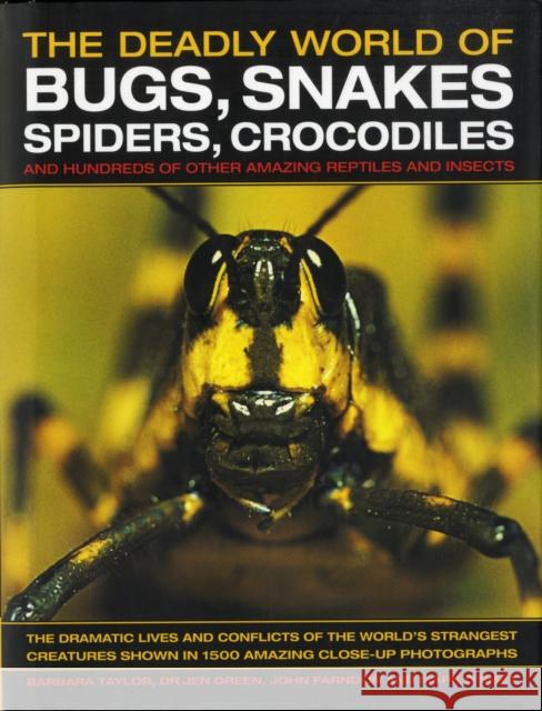 The Deadly World of Bugs, Snakes, Spiders, Crocodiles and Hundreds of Other Amazing Reptiles and Insects: Discover the Amazing World of Reptiles and Bugs, Featuring More Than 1500 Fabulous Wildlife Ph