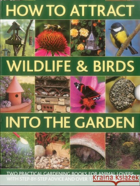 How to Attract Wildlife & Birds into the Garden: A Practical Gardener's Guide for Animal Lovers, Including Planting Advice, Designs and 90 Step-by-step Projects, with 1700 Photographs