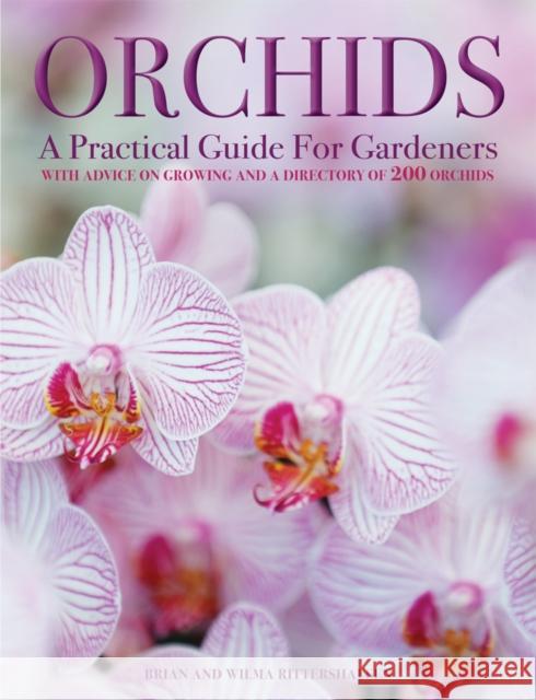 Orchids