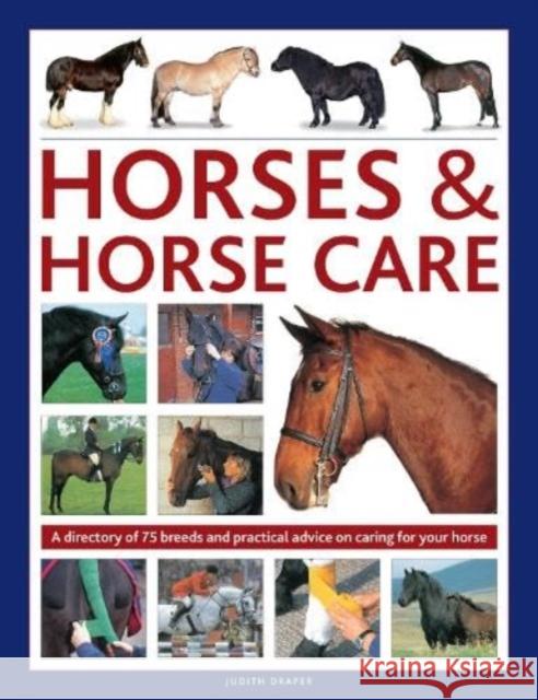 Horses & Horse Care: A directory of 75 breeds and practical advice on caring for your horse