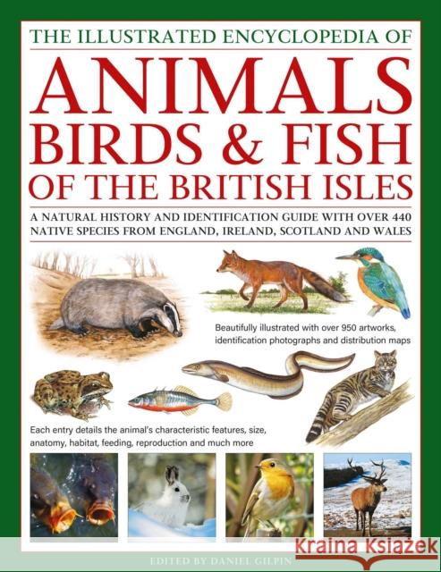 The Animals, Birds & Fish of the British Isles, Illustrated Guide to: A natural history and identification guide to over 440 native species from England, Ireland, Scotland and Wales