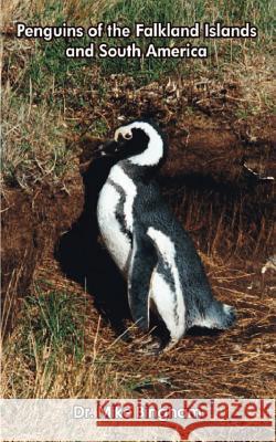 Penguins of the Falkland Islands and South America