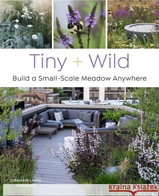 Tiny and Wild: Build a Small-Scale Meadow Anywhere