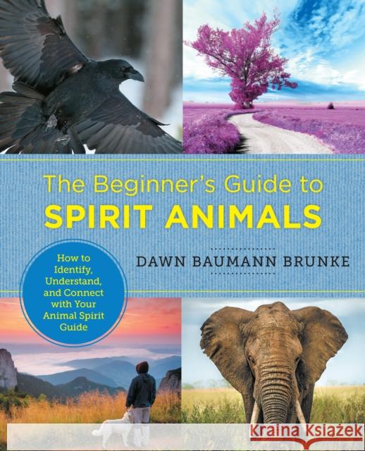 The Beginner's Guide to Spirit Animals: How to Identify, Understand, and Connect with Your Animal Spirit Guide