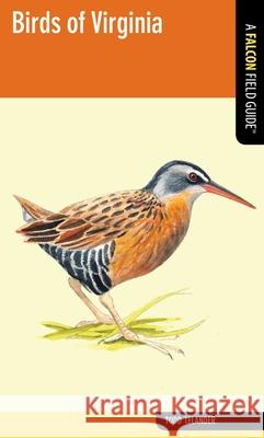 Falcon Guide: Birds of Virginia