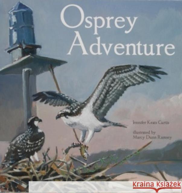 Osprey Adventure