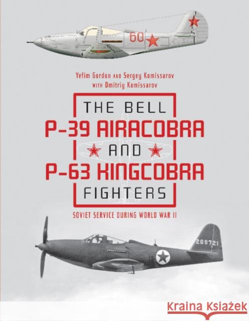 The Bell P-39 Airacobra and P-63 Kingcobra Fighters: Soviet Service During World War II