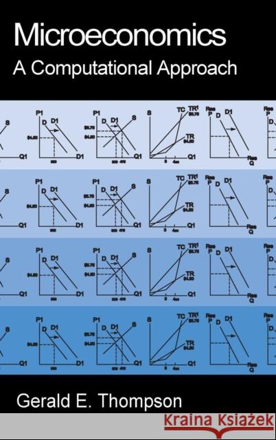 microeconomics: a computational approach 