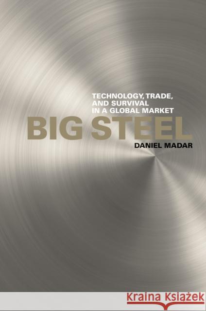 Big Steel: Technology, Trade, and Survival in a Global Market