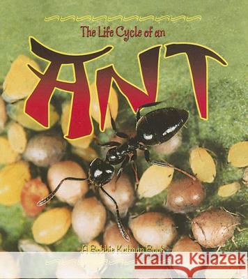 The Life Cycle of an Ant