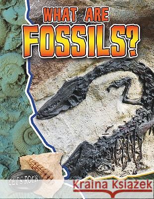 What Are Fossils?