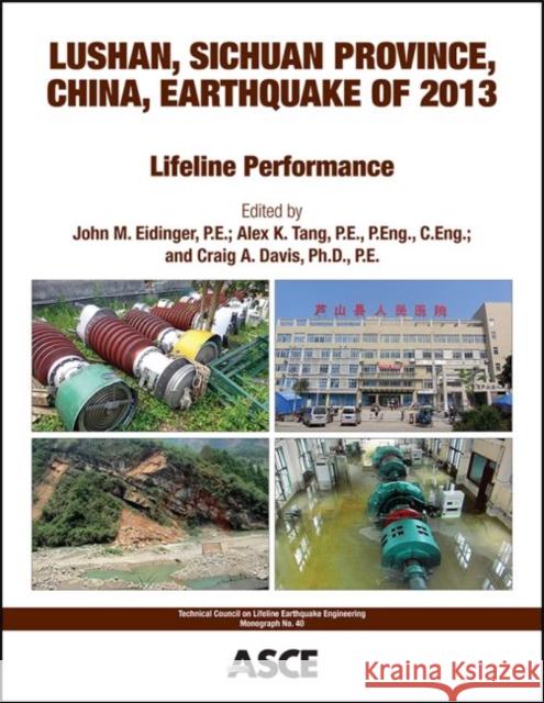 Lushan, Sichuan Province, China, Earthquake of 2013: Lifeline Performance