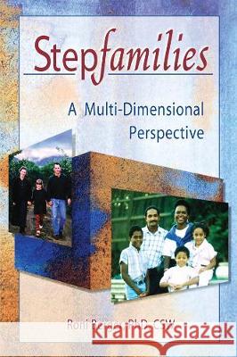 Stepfamilies: A Multi-Dimensional Perspective