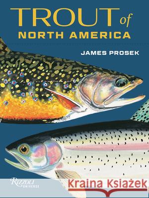 Trout of North America Card Deck