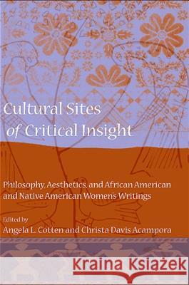 Cultural Sites of Critical Insight: Philosophy, Aesthetics, and African American and Native American Women's Writings