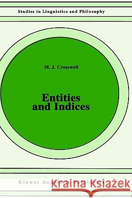 Entities and Indices