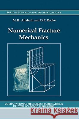 Numerical Fracture Mechanics