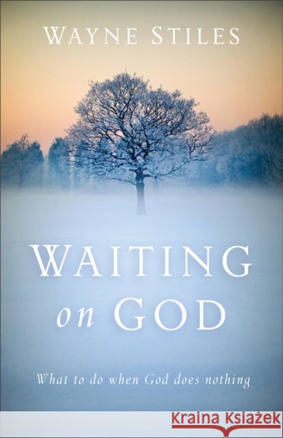 Waiting on God: What to Do When God Does Nothing