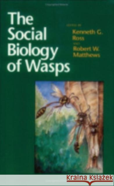 The Social Biology of Wasps