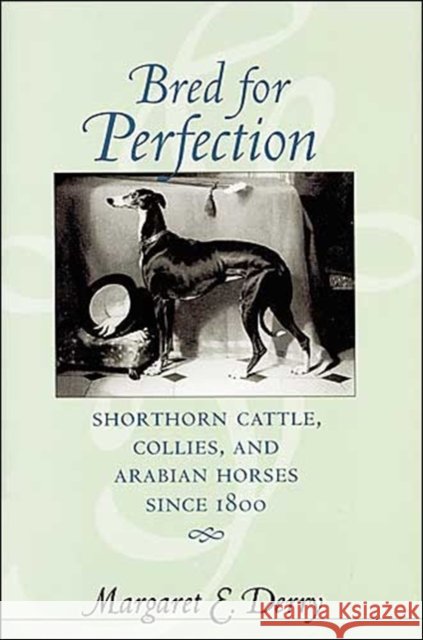 Bred for Perfection: Shorthorn Cattle, Collies, and Arabian Horses Since 1800