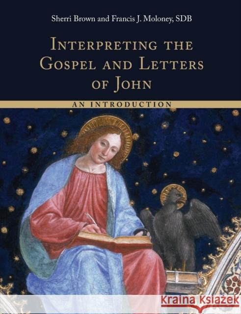 Interpreting the Gospel and Letters of John: An Introduction