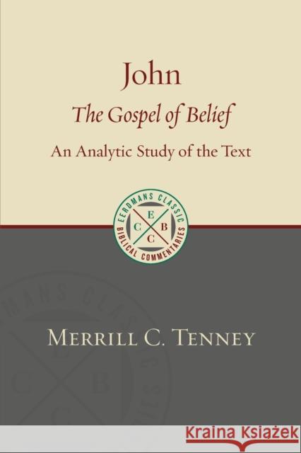 John: The Gospel of Belief: An Analytic Study of the Text