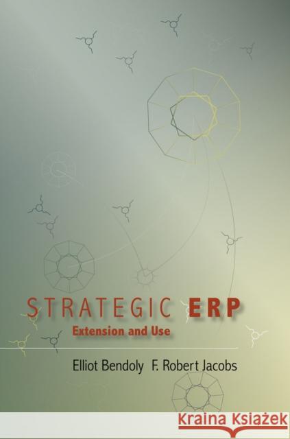 Strategic Erp Extension and Use