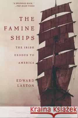 The Famine Ships: The Irish Exodus to America