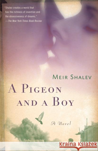 A Pigeon and a Boy