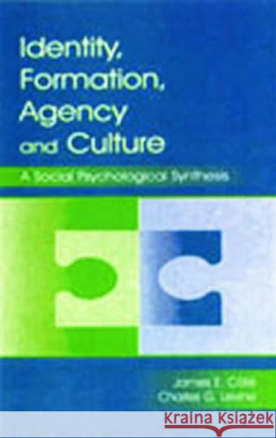 Identity, Formation, Agency, and Culture: A Social Psychological Synthesis