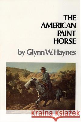 American Paint Horse