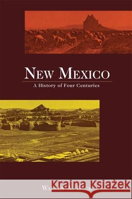 New Mexico: A History of Four Centuries