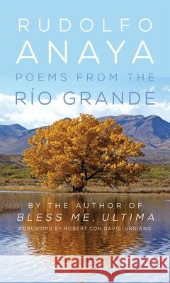Poems from the Río Grande: Volume 14