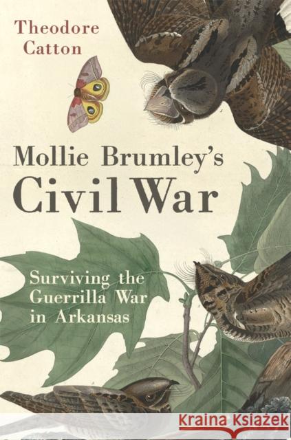 Mollie Brumley's Civil War: Surviving the Guerrilla War in Arkansas