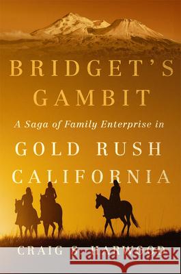 Bridget's Gambit: A Saga of Family Enterprise in Gold Rush California Volume 4