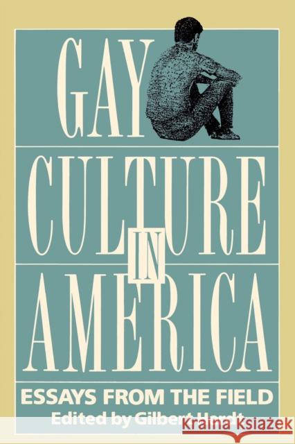 Gay Culture in America: Essays from the Field