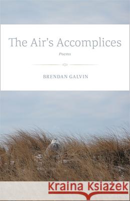 The Air's Accomplices: Poems