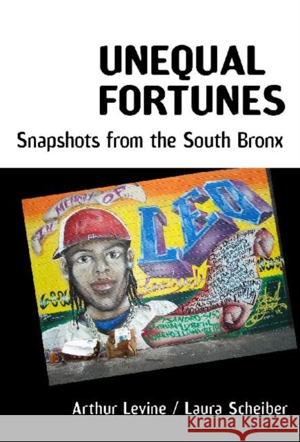 Unequal Fortunes: Snapshots from the South Bronx