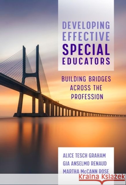 Developing Effective Special Educators: Building Bridges Across the Profession