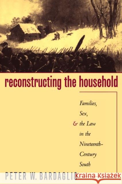 Reconstructing the Household: Families, Sex, and the Law in the Nineteenth-Century South