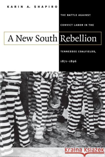 A New South Rebellion: The Battle against Convict Labor in the Tennessee Coalfields, 1871-1896