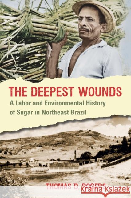 The Deepest Wounds: A Labor and Environmental History of Sugar in Northeast Brazil