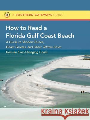 How to Read a Florida Gulf Coast Beach: A Guide to Shadow Dunes, Ghost Forests, and Other Telltale Clues from an Ever-Changing Coast