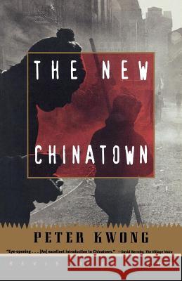 The New Chinatown: Revised Edition