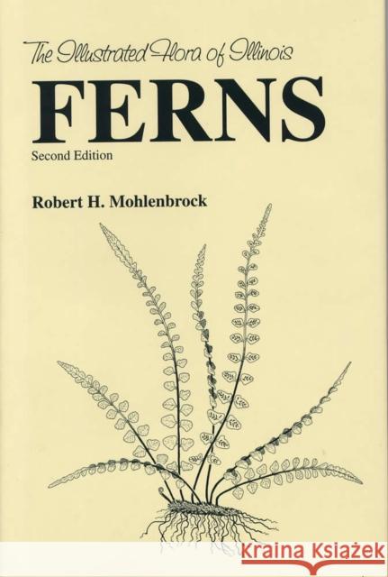 Ferns