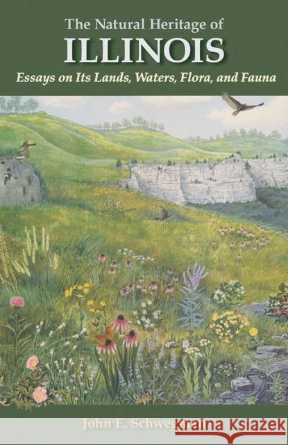 The Natural Heritage of Illinois: Essays on Its Lands, Waters, Flora, and Fauna