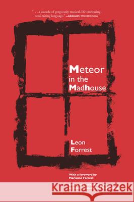 Meteor in the Madhouse